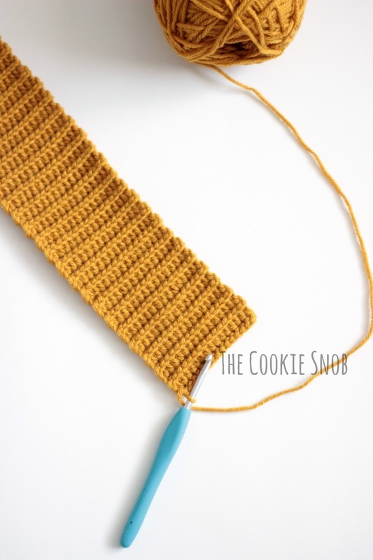 Crochet Beanie Free Pattern